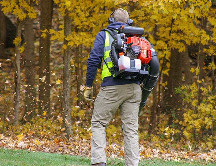 Echo PB-8010 Backpack Blower