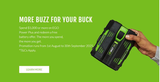 More Buzz For Your Buck