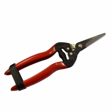 Pro Horto Long Nose Fruit Snip