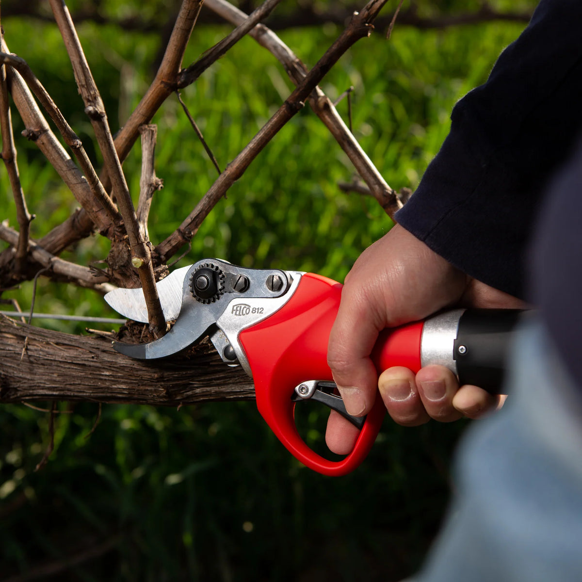 FELCO 812+ complete kit with 216Wh / 6Ah Battery.