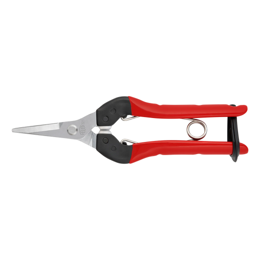 FELCO 321 Harvesting shear with steel handles, straight and chromed blade, 177mm.