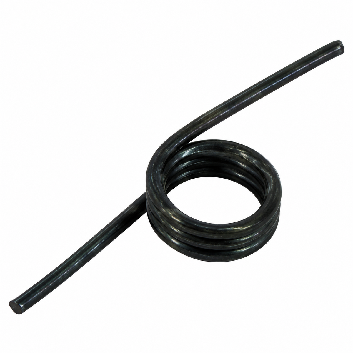 Echo Throttle Control Spring